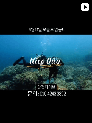 강정다이브 인스타그램 게시물